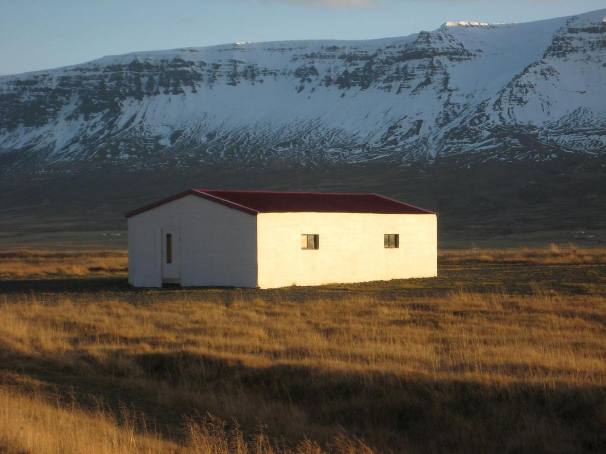 Asbrandsstadir Cottage Vopnafjorthur エクステリア 写真
