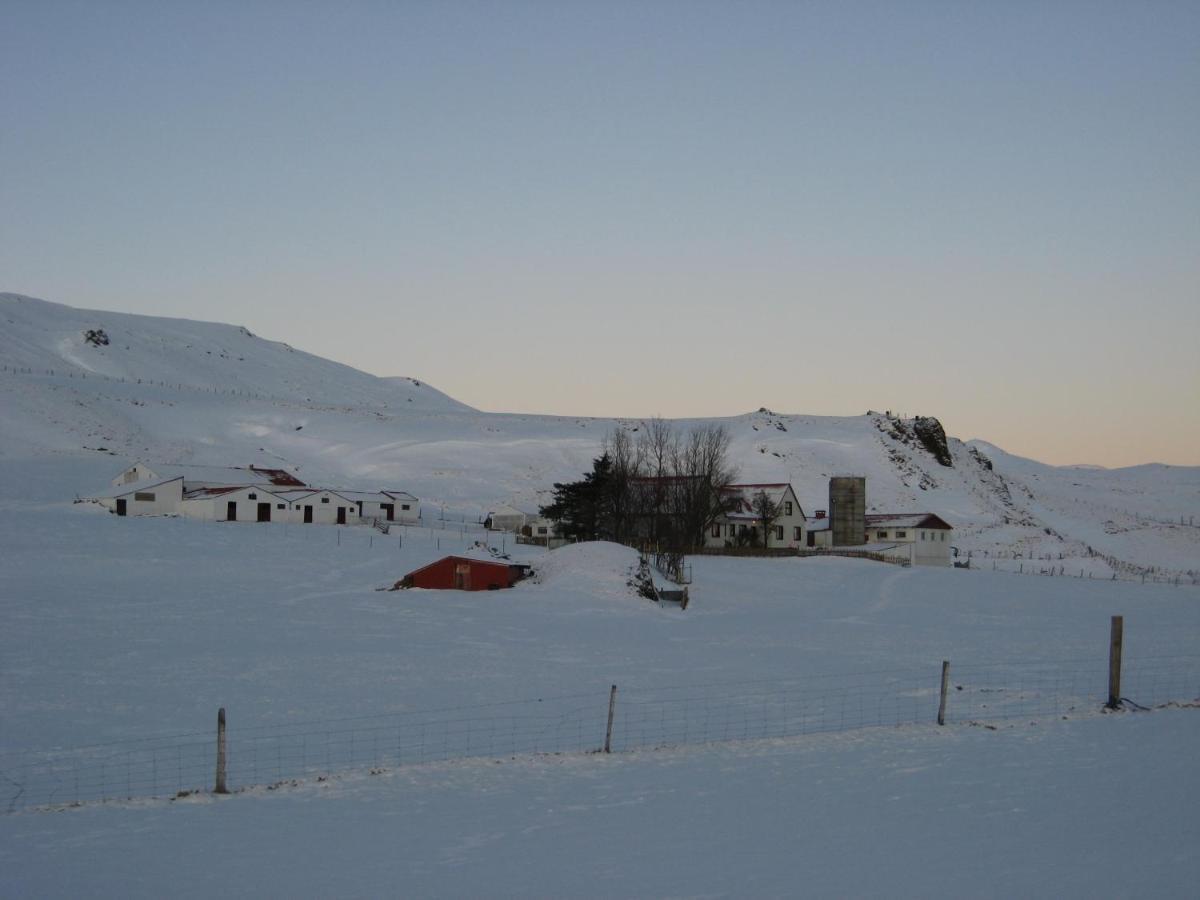 Asbrandsstadir Cottage Vopnafjorthur エクステリア 写真